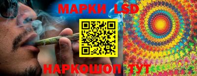 крисы Лесосибирск
