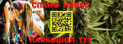 крисы Лесосибирск
