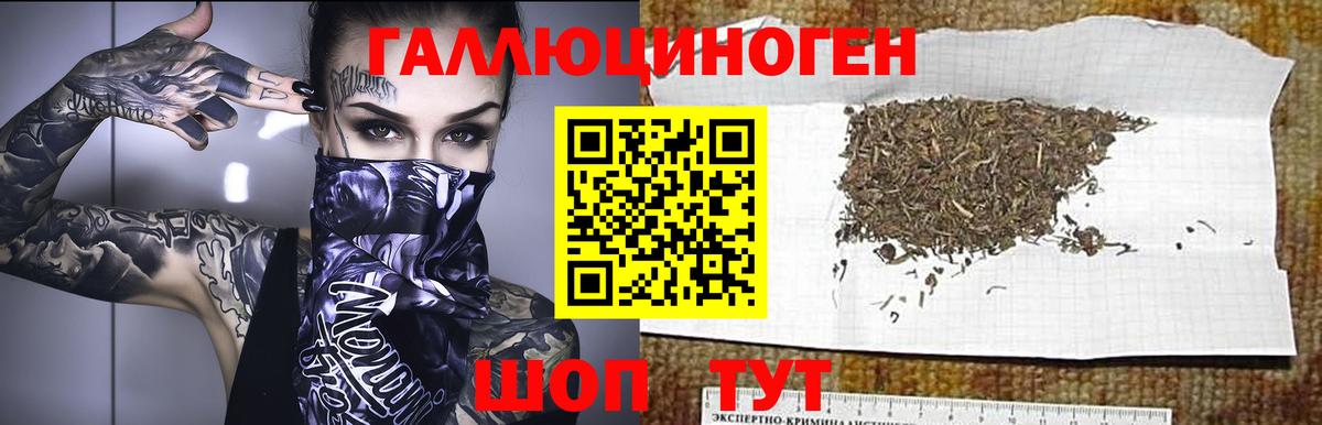 Екатеринбург  Галлюциногенные грибы MAGIC MUSHROOMS  Вход с VPN 